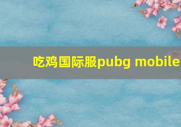 吃鸡国际服pubg mobile